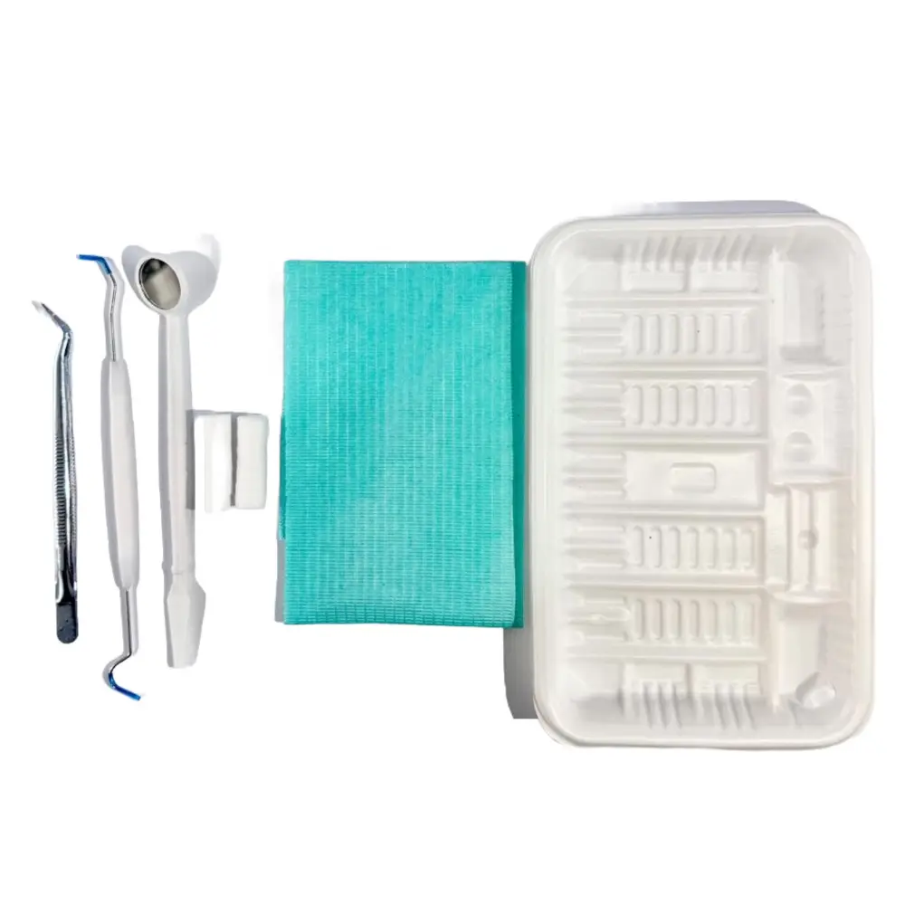 Disposable Dental Kit