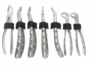 Premium Dental Forceps – Precision & Durable Design
