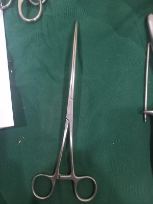 Intestinal clamp curved crushing