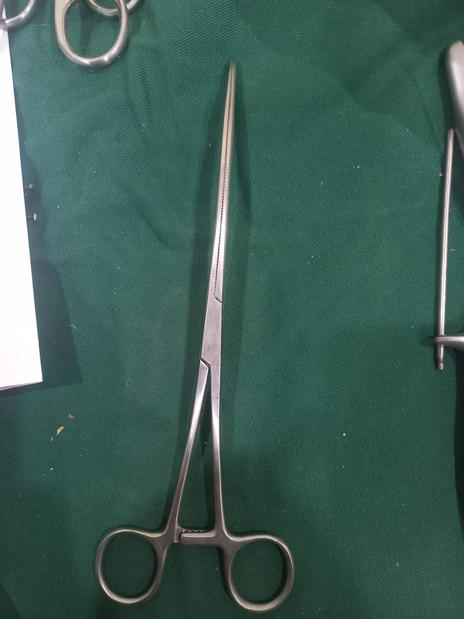 Intestinal clamp curved crushing